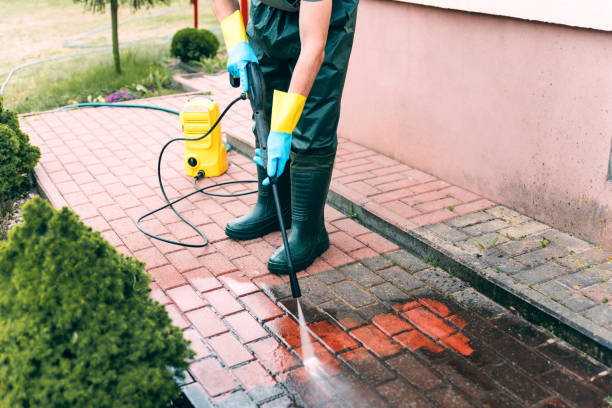 Best Dumpster Area Cleaning  in La Verkin, UT